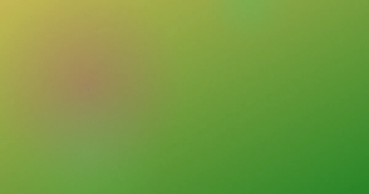 宠物医生测评：避坑步骤